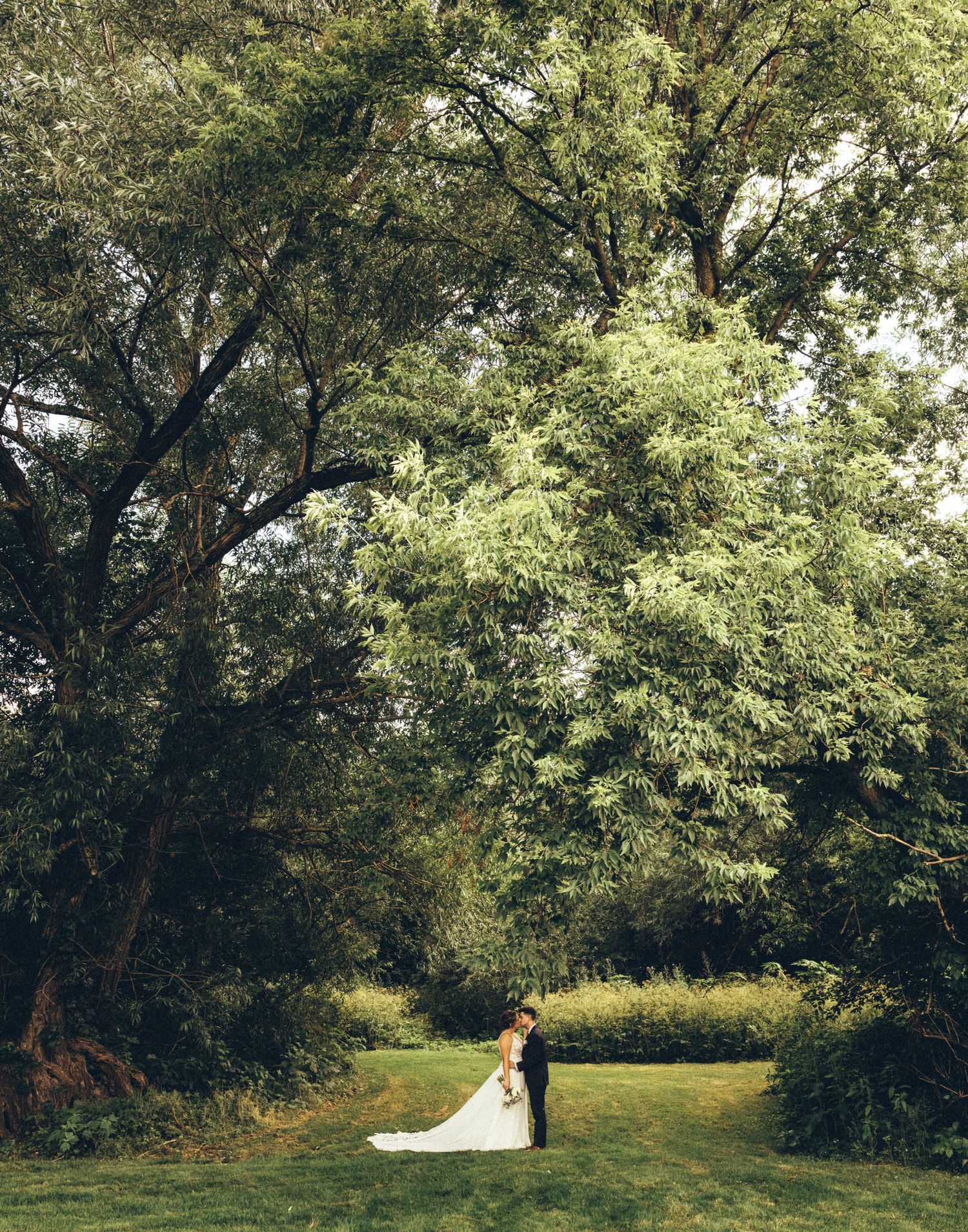 Bride and groom share an intimate moment beneath towering green trees in a garden setting.