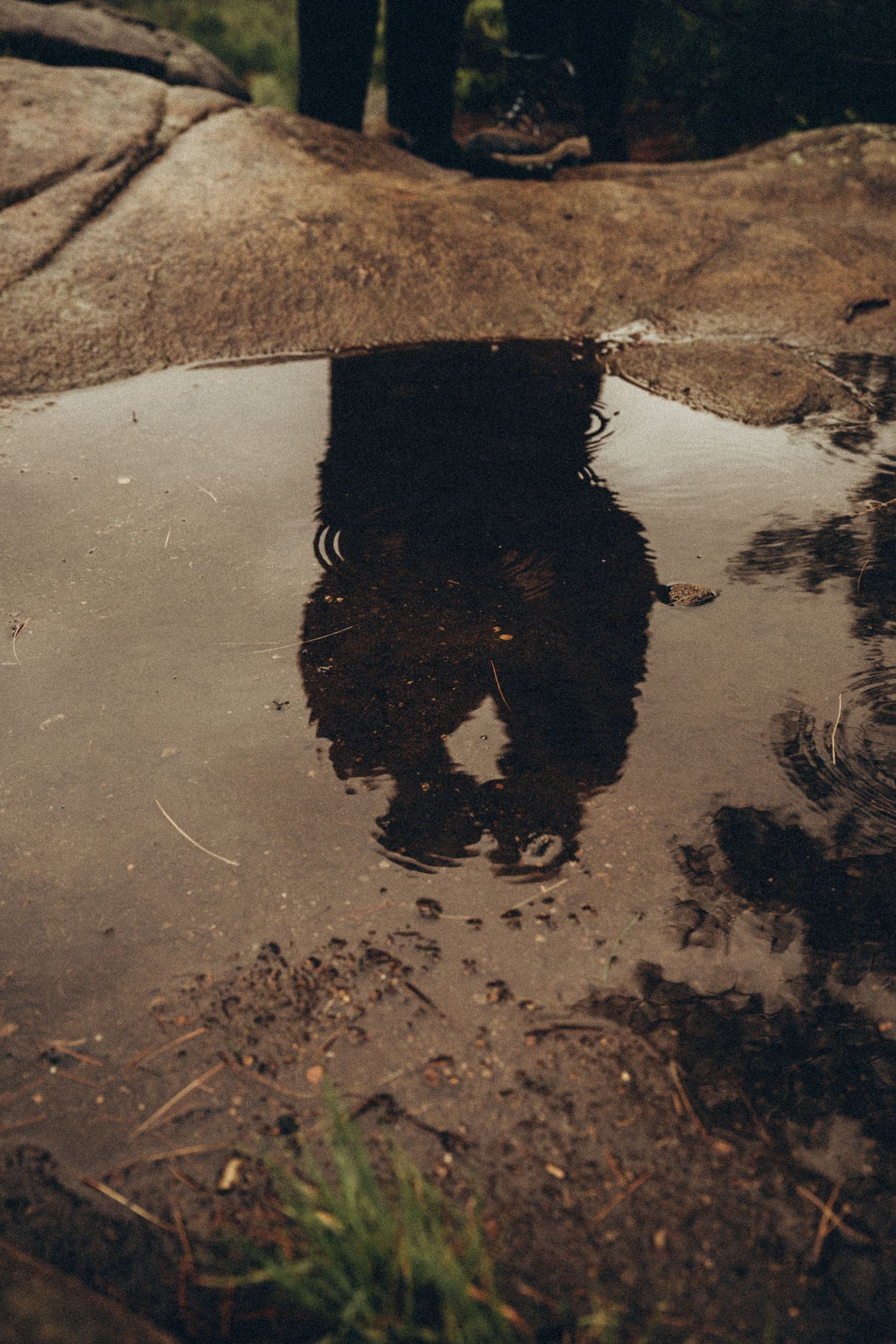 A couple's reflection visible in a rain puddle on rocky ground in nature.