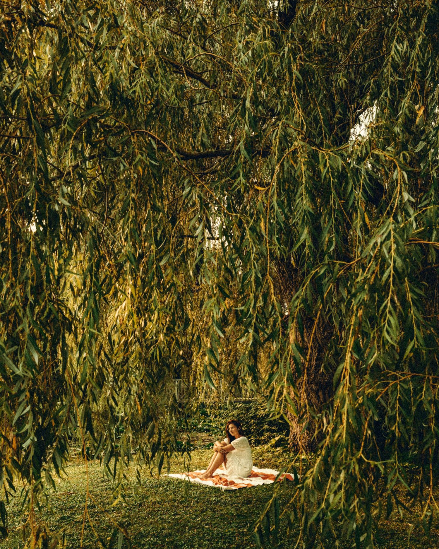Woman in white dress sitting alone under sweeping willow tree branches on a sunlit lawn.