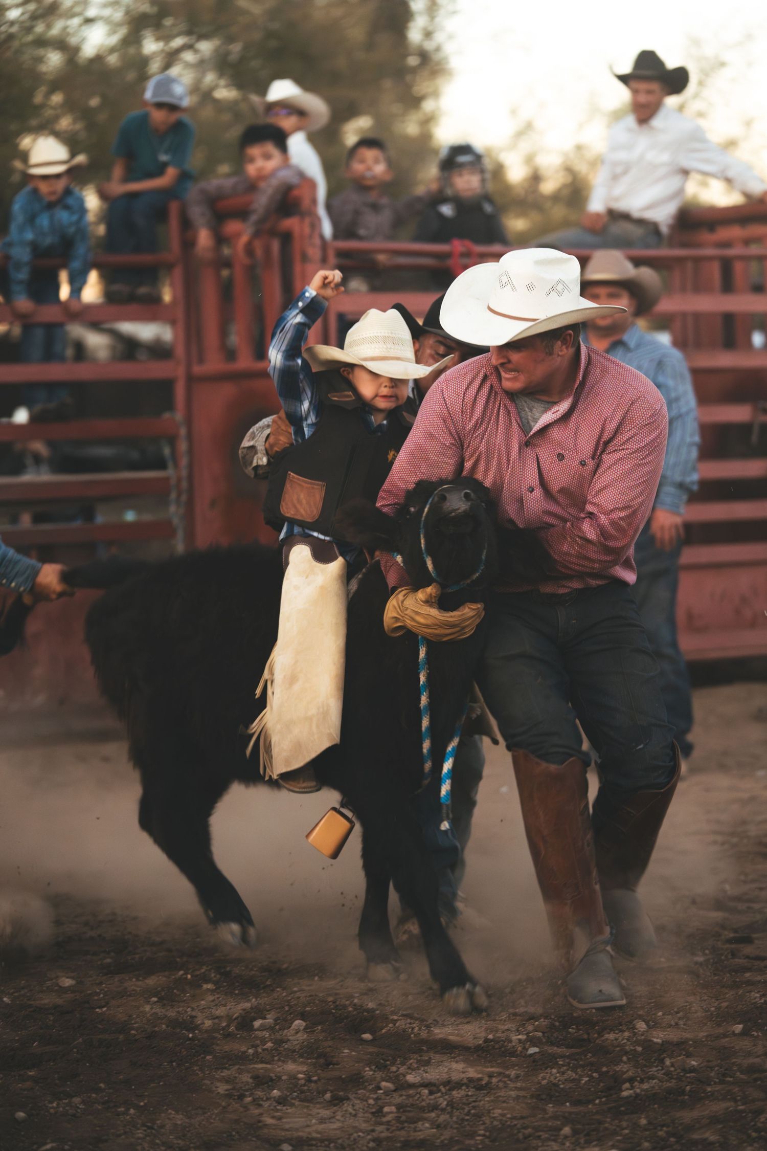 Cowboys in cowboy hats wrestling a black bull at a dusty rodeo arena with spectators watching.