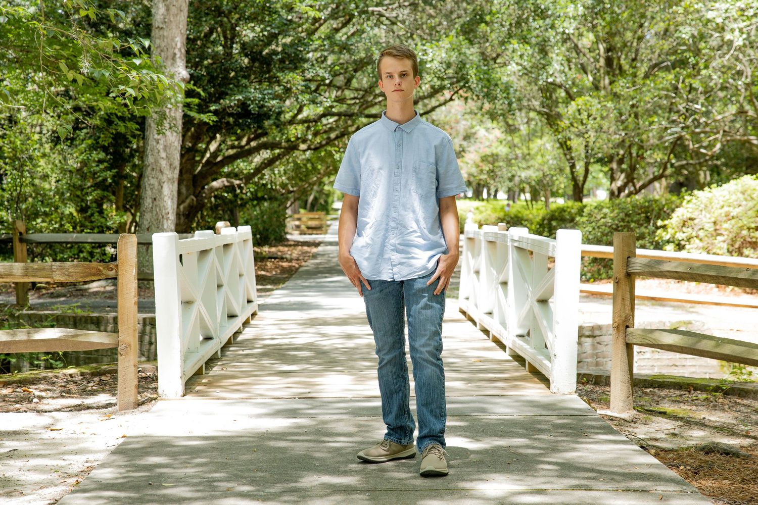 Tree-lined pathway with white fencing and dappled sunlight creating peaceful outdoor scene.