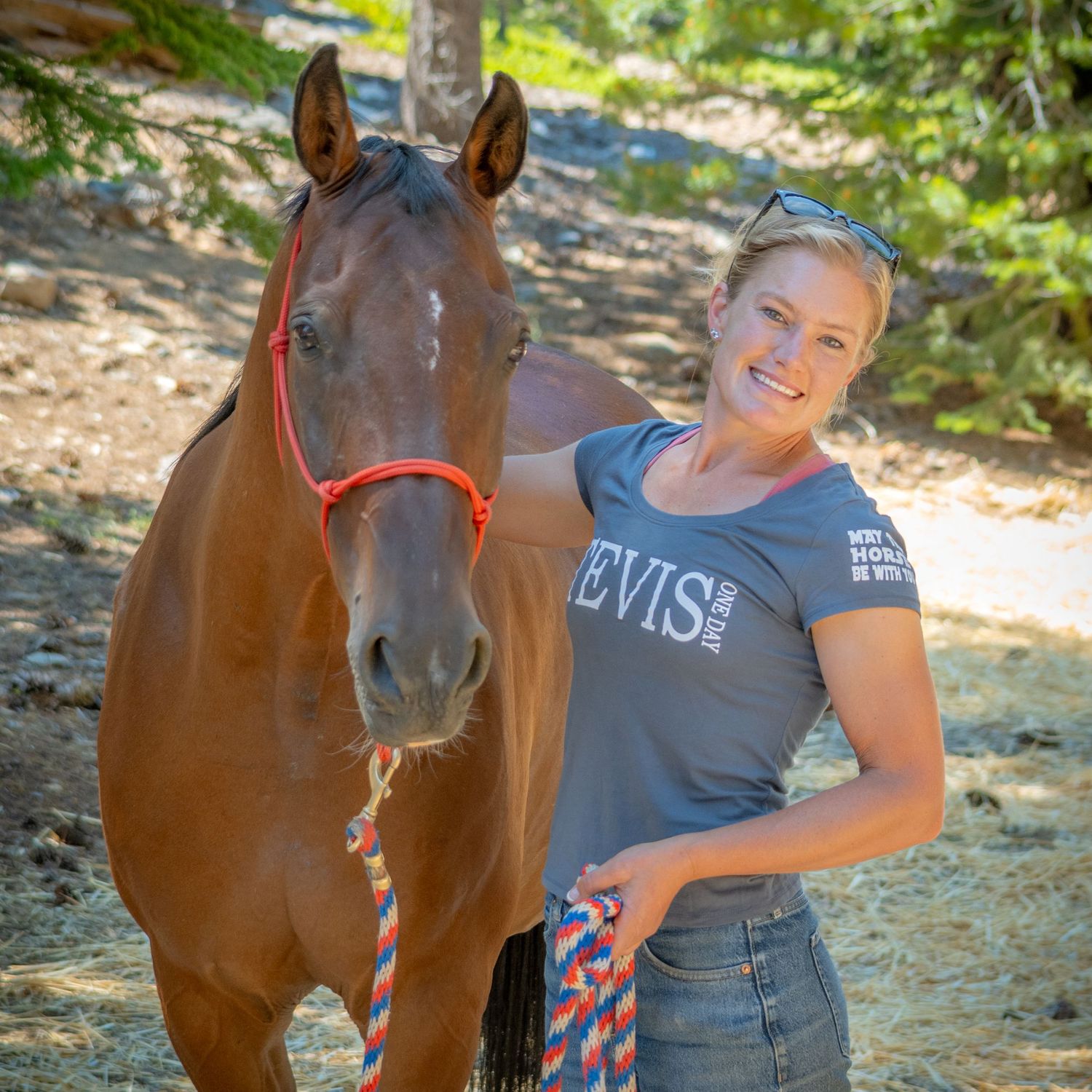 Person interacting with a brown horse outdoors in a wooded setting.