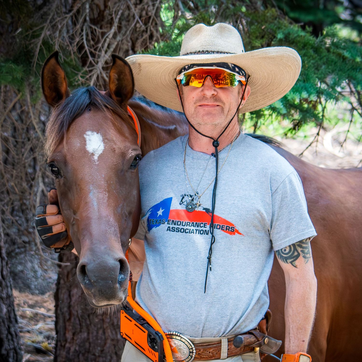 Multiple angles of a brown horse and someone wearing a hat and gray shirt in an outdoor setting.
