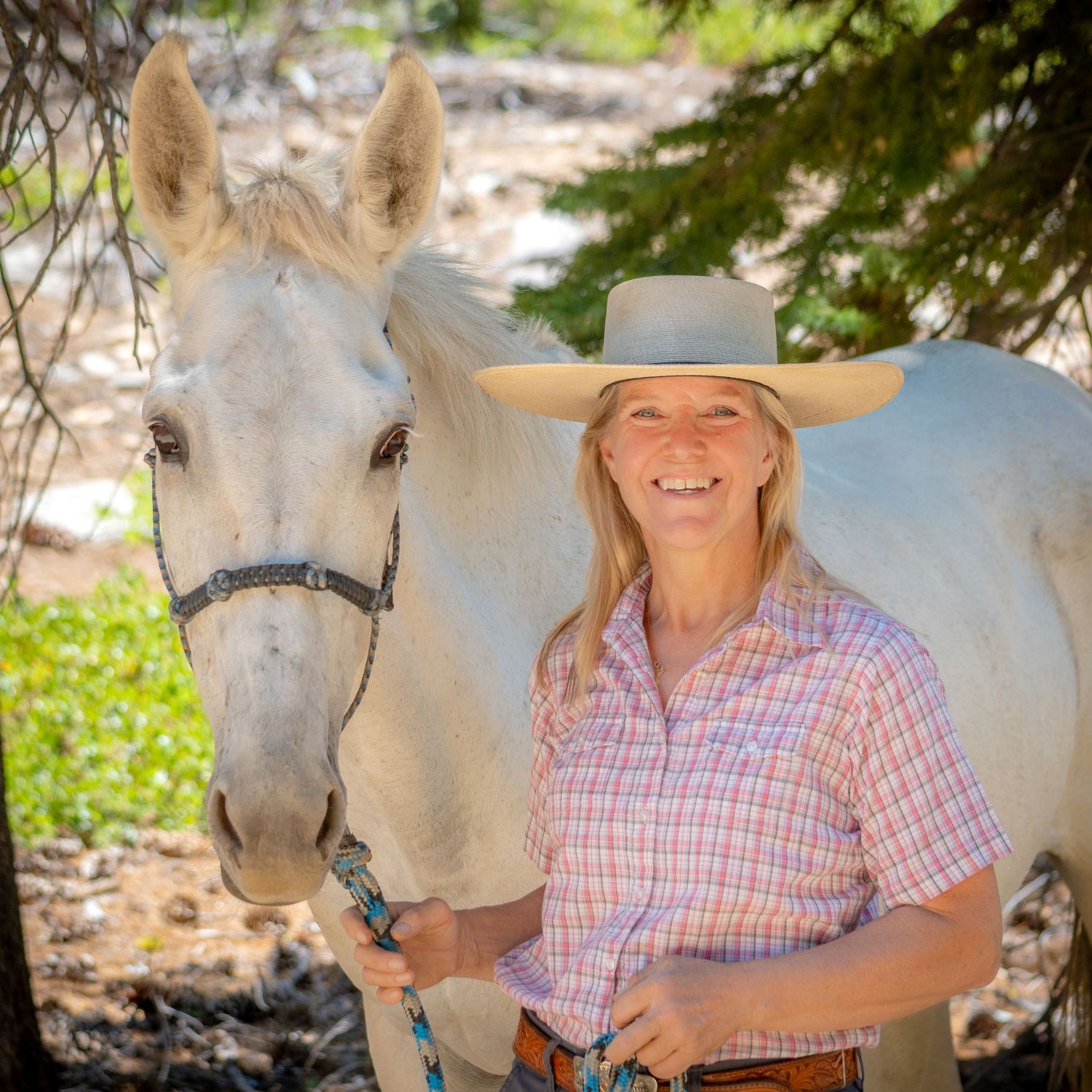 A white horse stands next to someone wearing a pink and white plaid shirt in dappled sunlight.