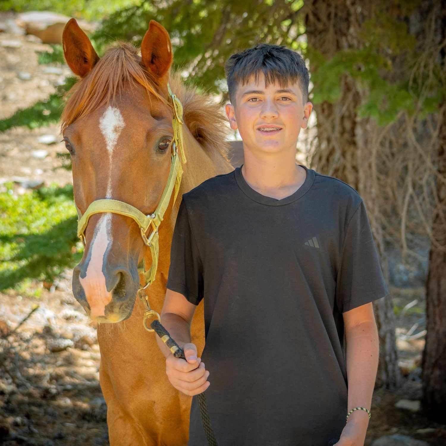 A chestnut colored horse stands with someone wearing a black t-shirt in a wooded setting.