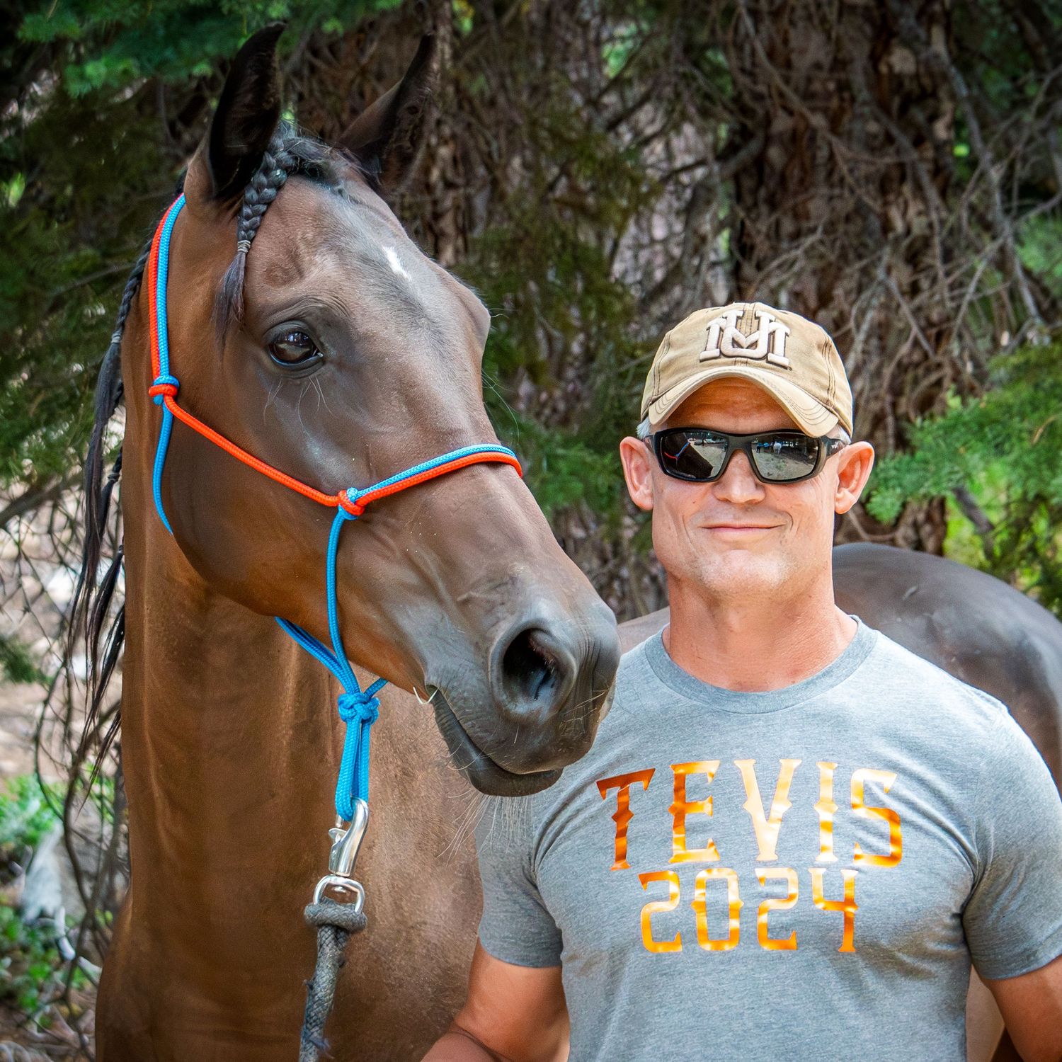 Sequence showing a brown horse with blue halter next to someone wearing casual clothing and sunglasses.