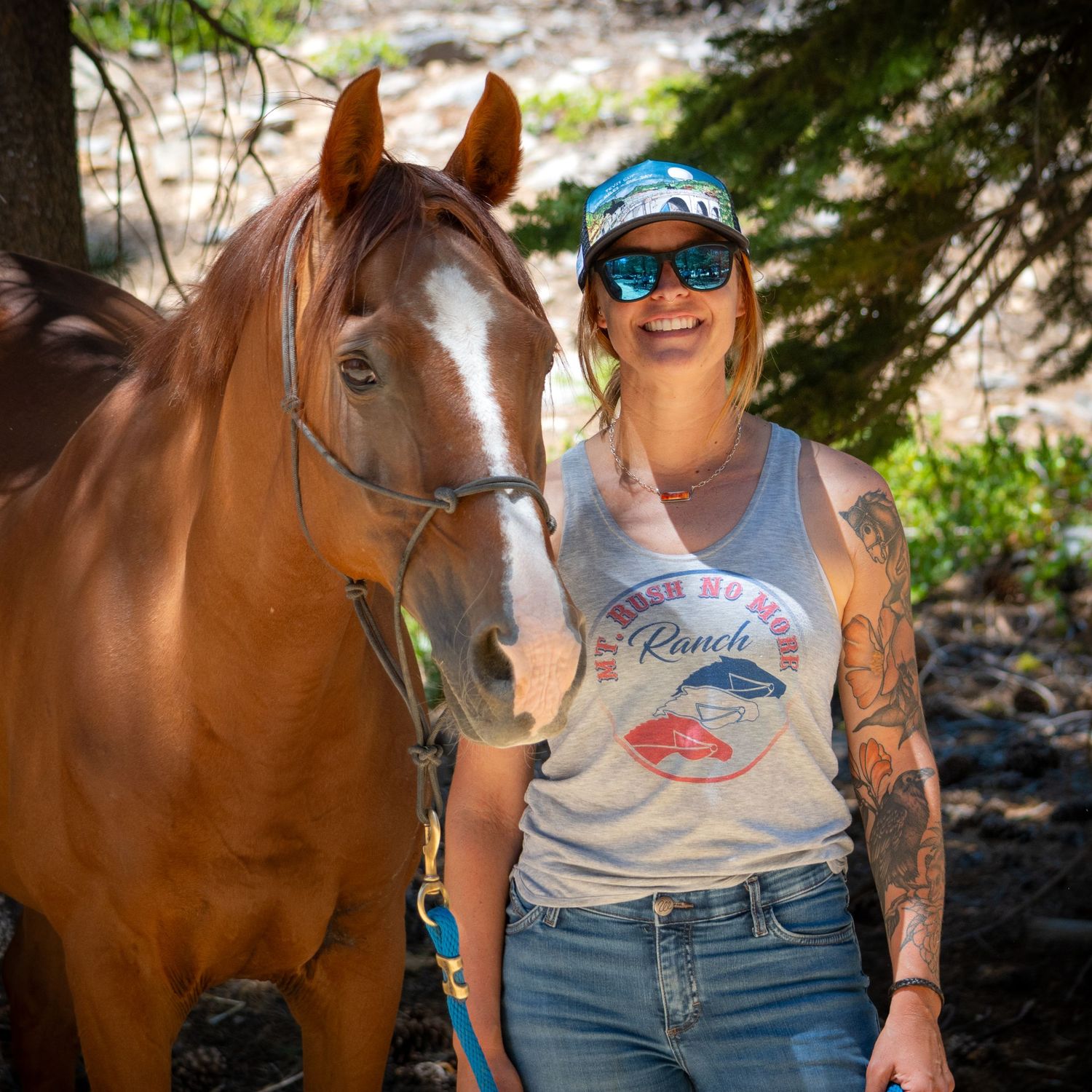 Close-up series of a brown horse and someone in casual attire against trees and natural lighting.