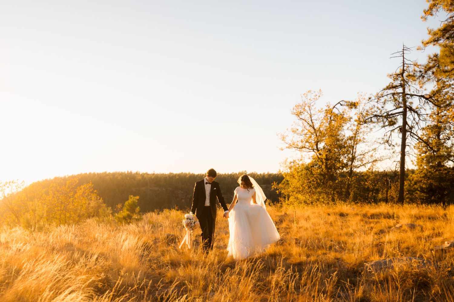 A rustic wooden house stands in a golden field during sunset with evergreen trees in the background.