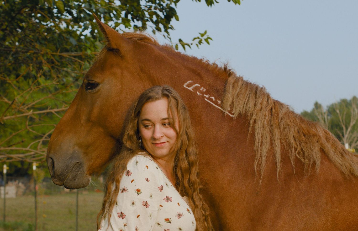 horse county photography in reno county Kansas, portraits with animals in county