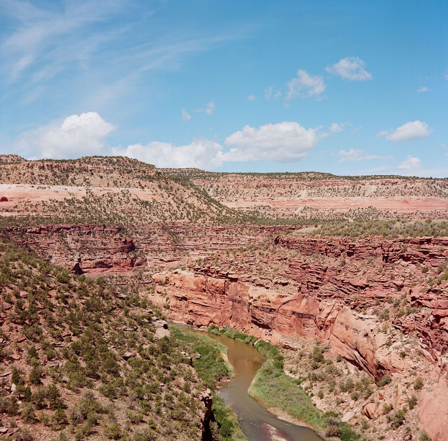 Medium Format film photo of the area near Gateway, Colorado.