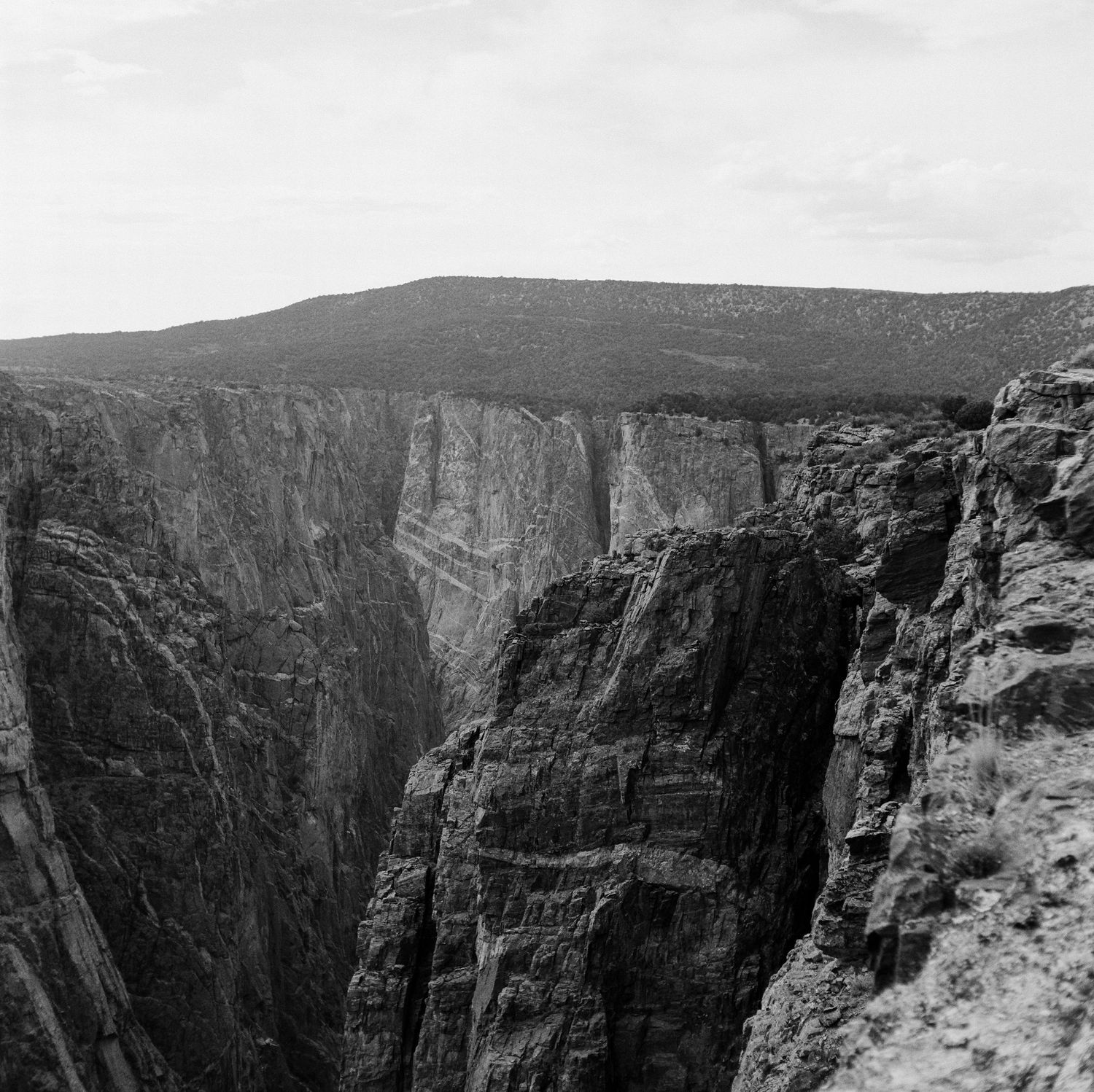 Medium Format film photo of the Black Canyon of the Gunnison National Park, Colorado.