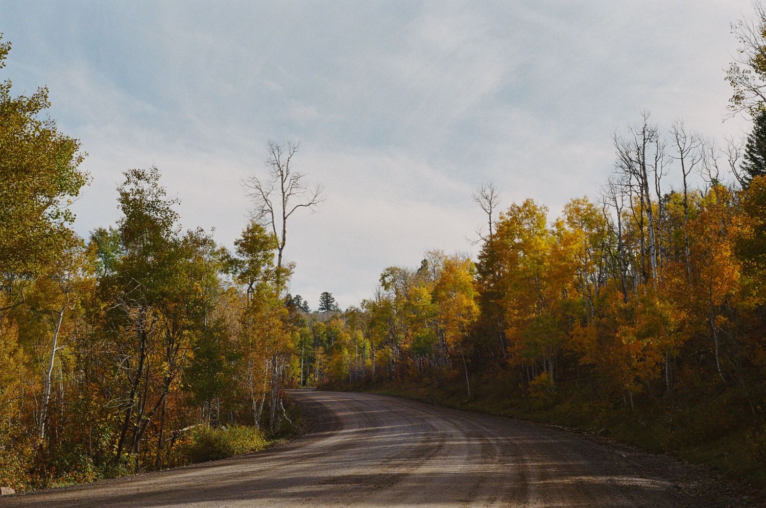 A 35mm landscape photo taken at Dave Wood Roa, near Montrose, Colorado.