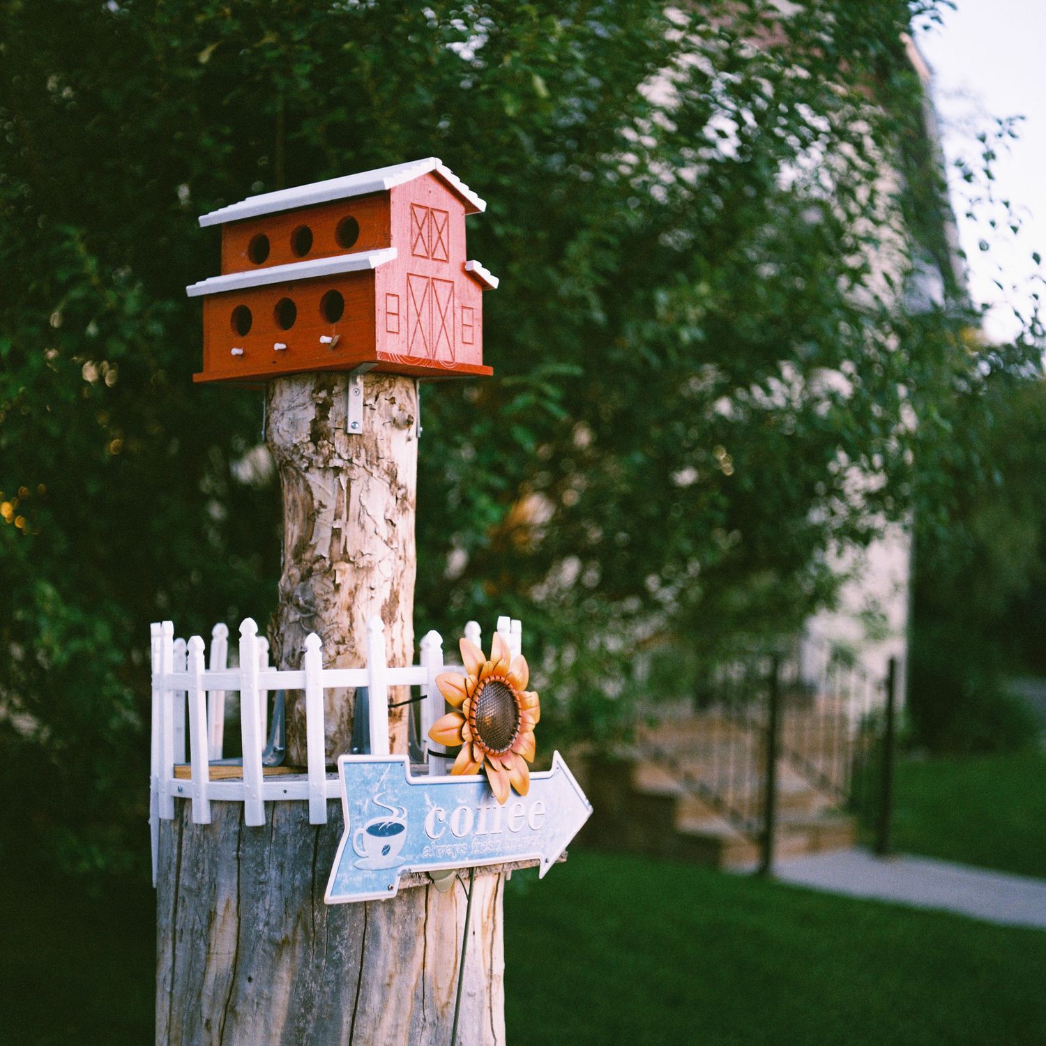Medium Format film photo of Montrose, Colorado.