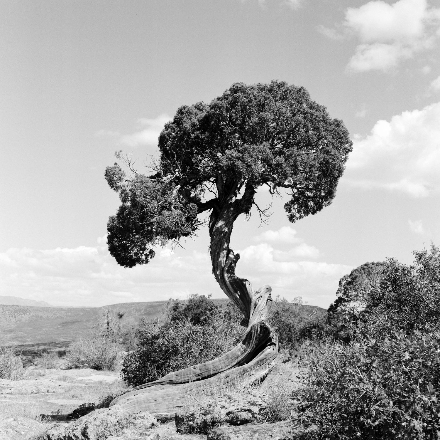 Medium Format film photos from Black Canyon National Park, Colorado.