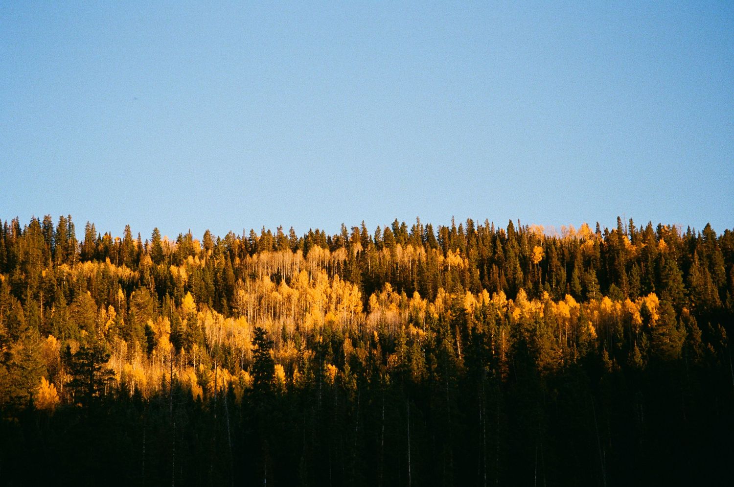 A 35mm landscape photo taken at Buckhorn Lakes, near Montrose, Colorado.