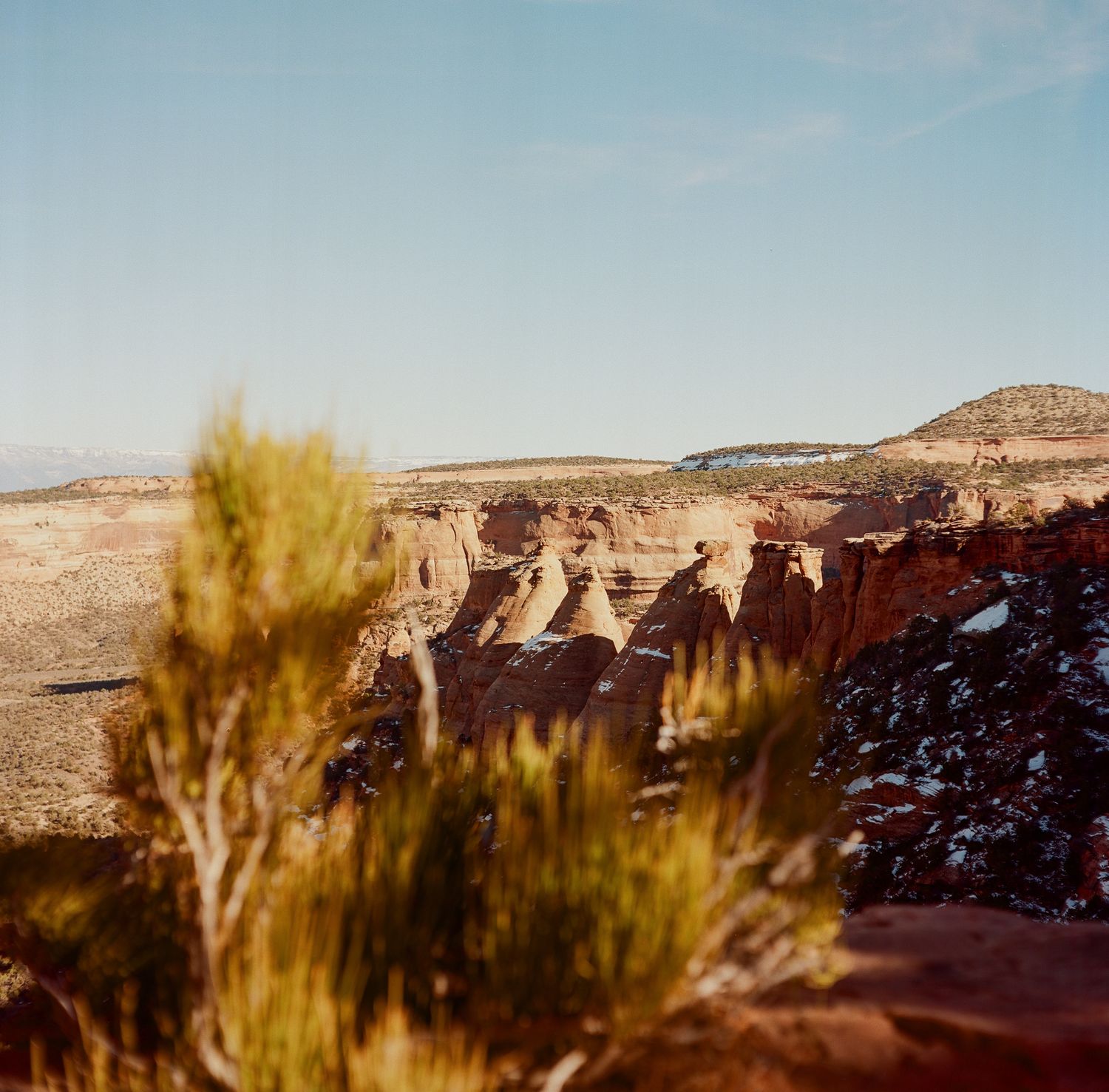 Medium Format film photo of Colorado National Monument, Colorado.