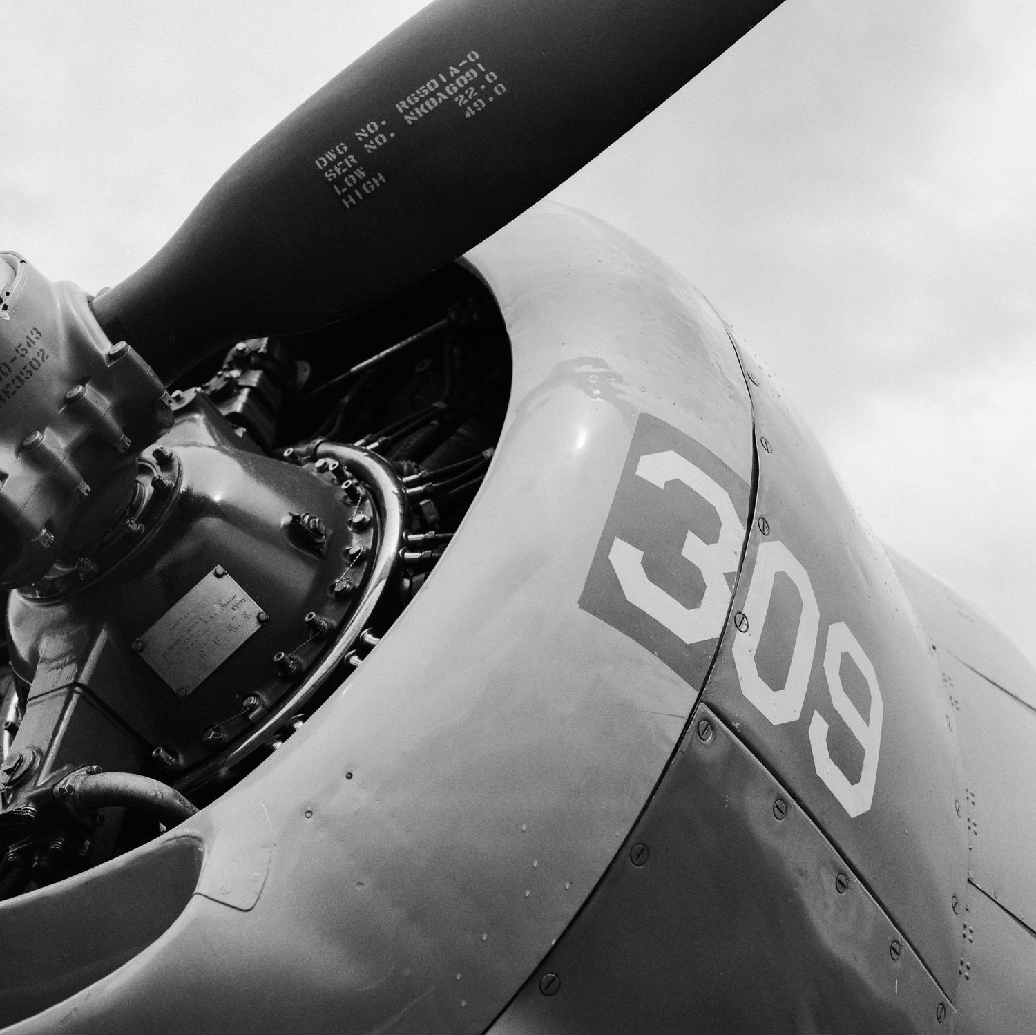 A Medium Format film photo of the a TBM Avenger at Montrose, Colorado's Tribute to Aviation event in 2025.