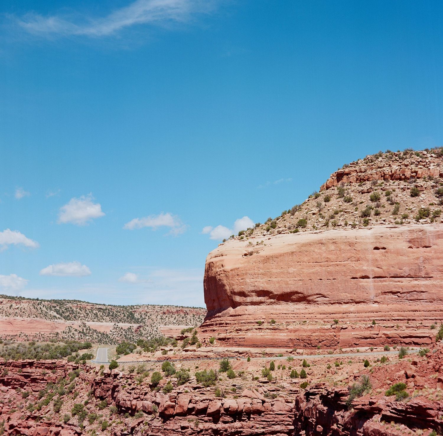 Medium Format film photo of the area near Gateway, Colorado.