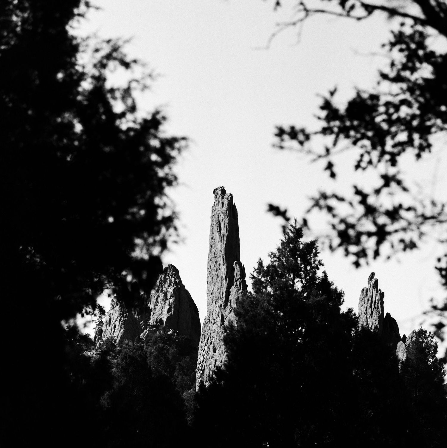 Medium Format film photos from Garden of the gods, Colorado.