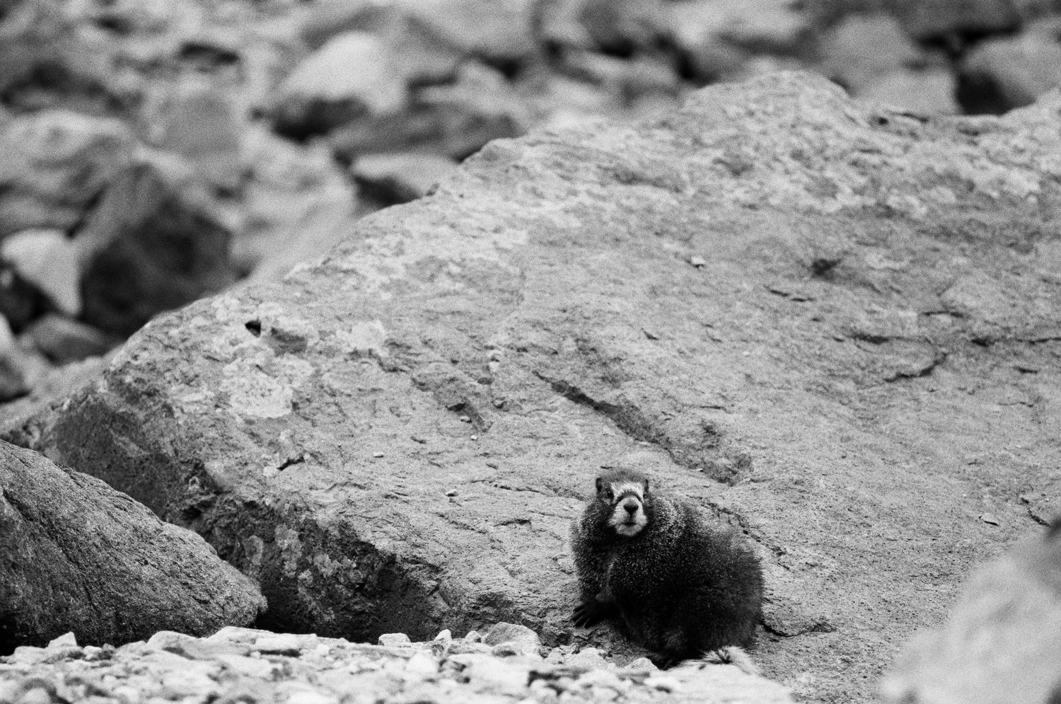 A 35mm film photo from Blue Lakes, near Ouray, Colorado.
