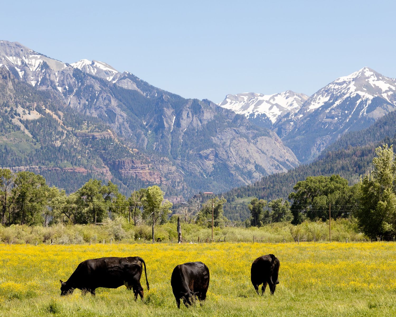 A landscape photo taken near Ouray, Colorado.