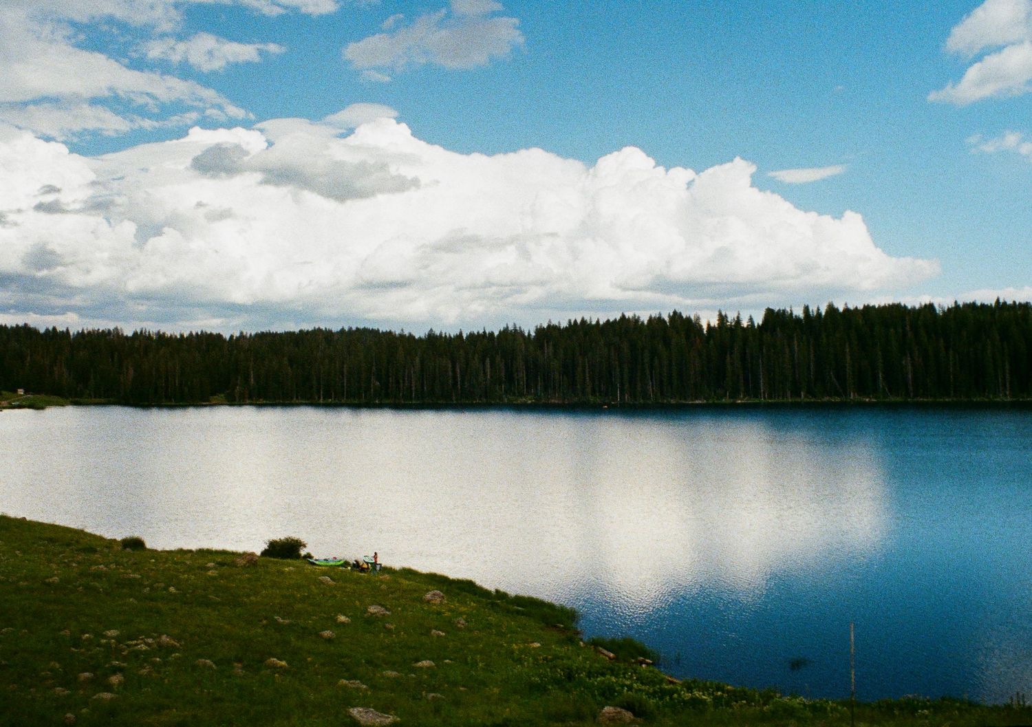 A 35mm Film photo from the Grand Mesa, Colorado.