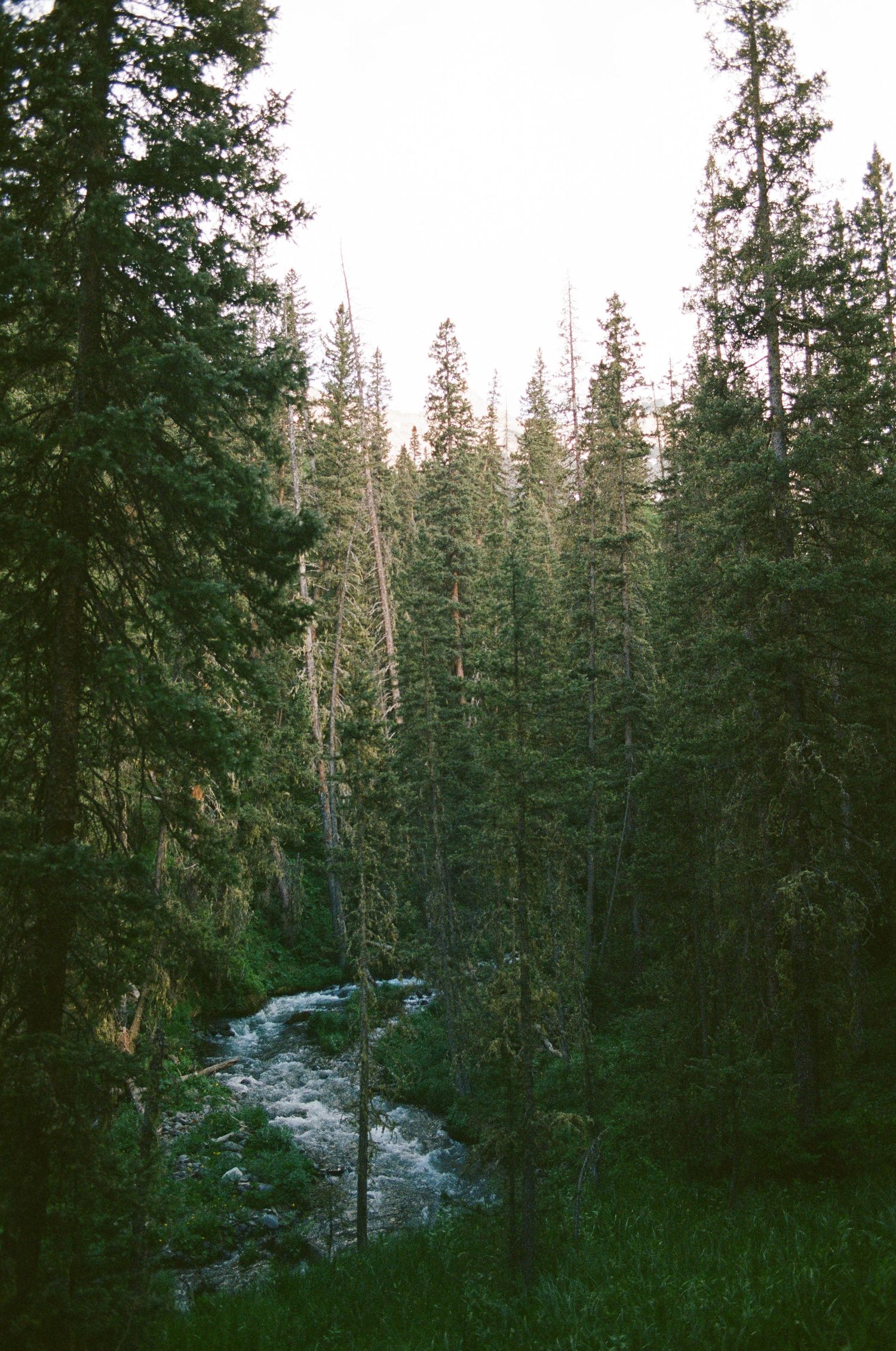 A 35mm film photo from Blue Lakes, near Ouray, Colorado.