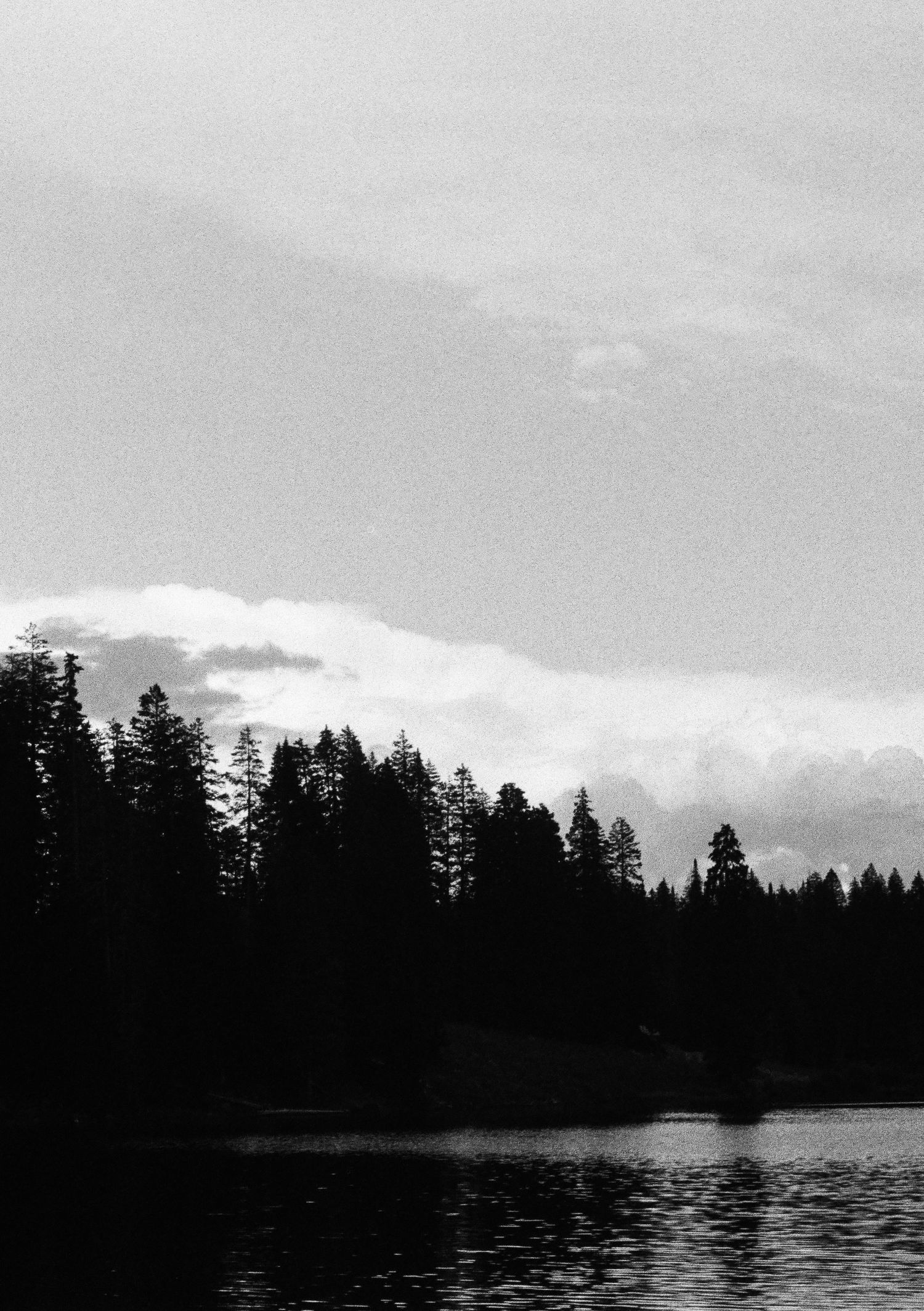 A 35mm Film photo from the Grand Mesa, Colorado.
