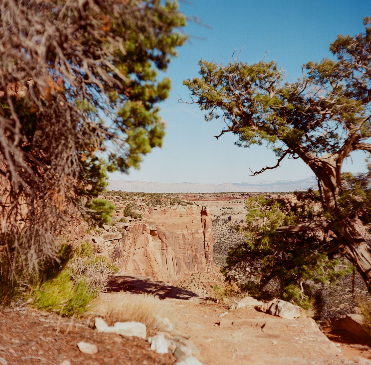 Medium Format film photo of Colorado National Monument, Colorado.