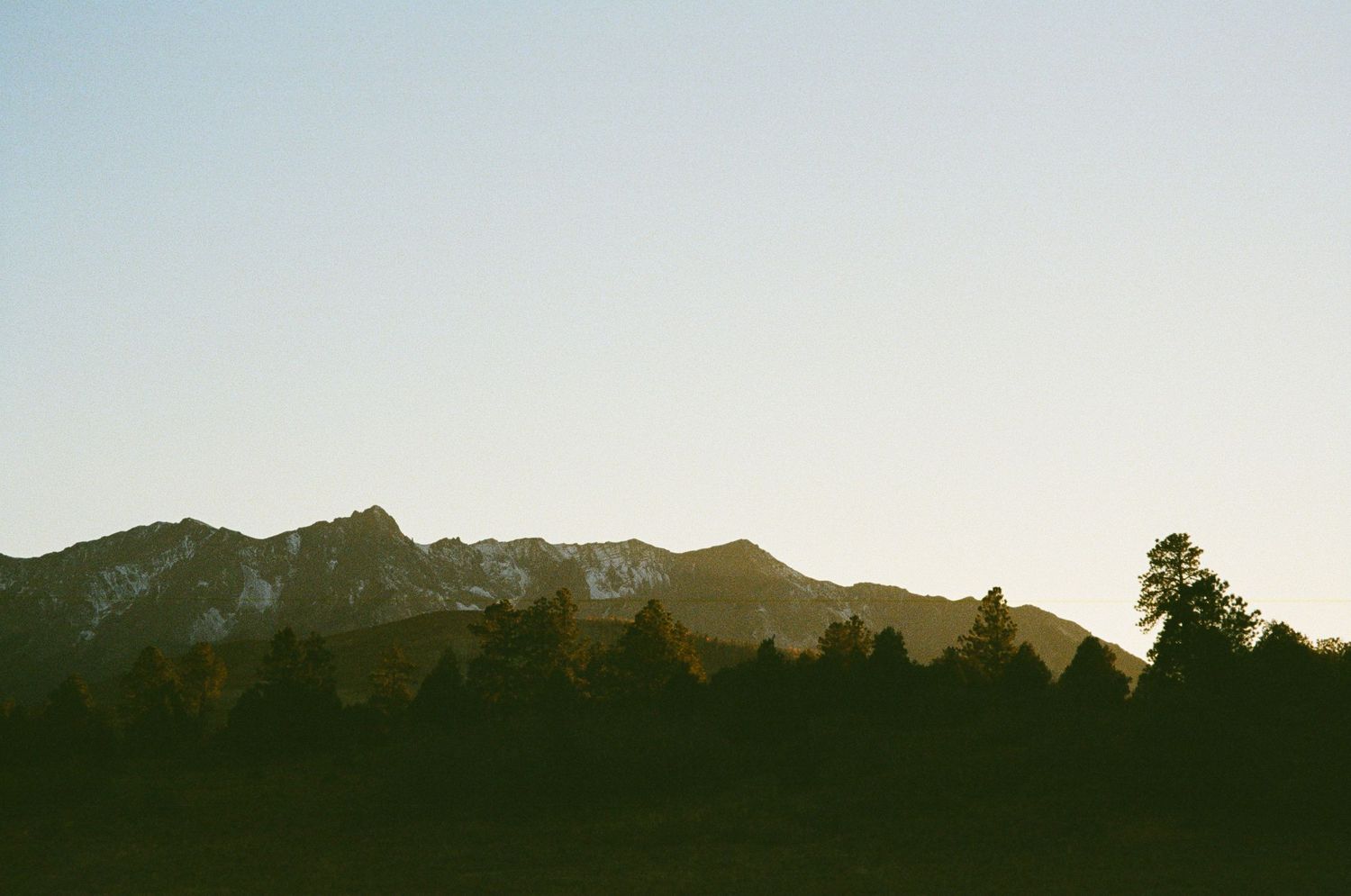 A 35mm film photo from Top of the Pines, near Ouray, Colorado.