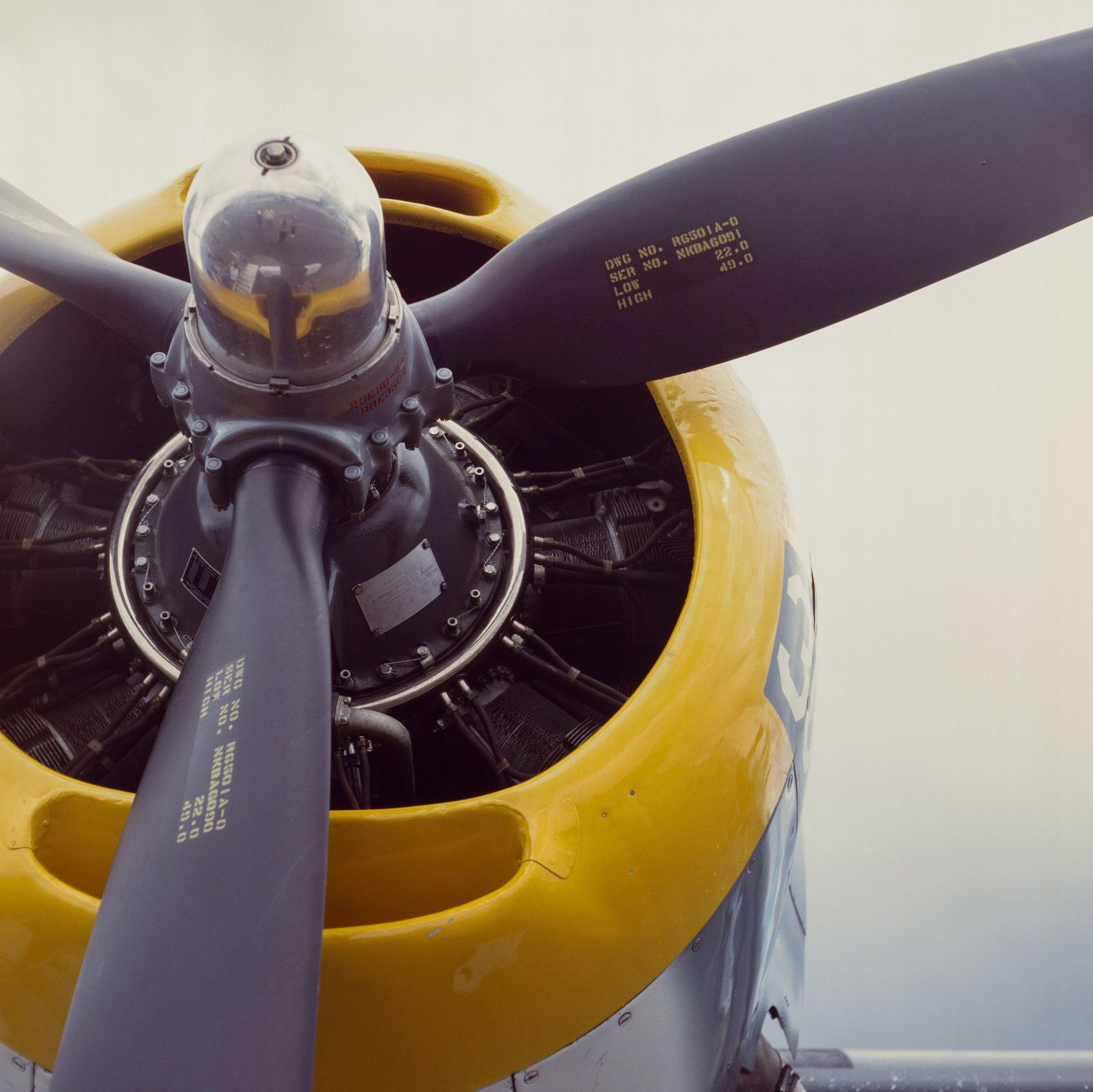A Medium Format film photo of a TBM Avenger at Montrose, Colorado's Tribute to Aviation event in 2025.