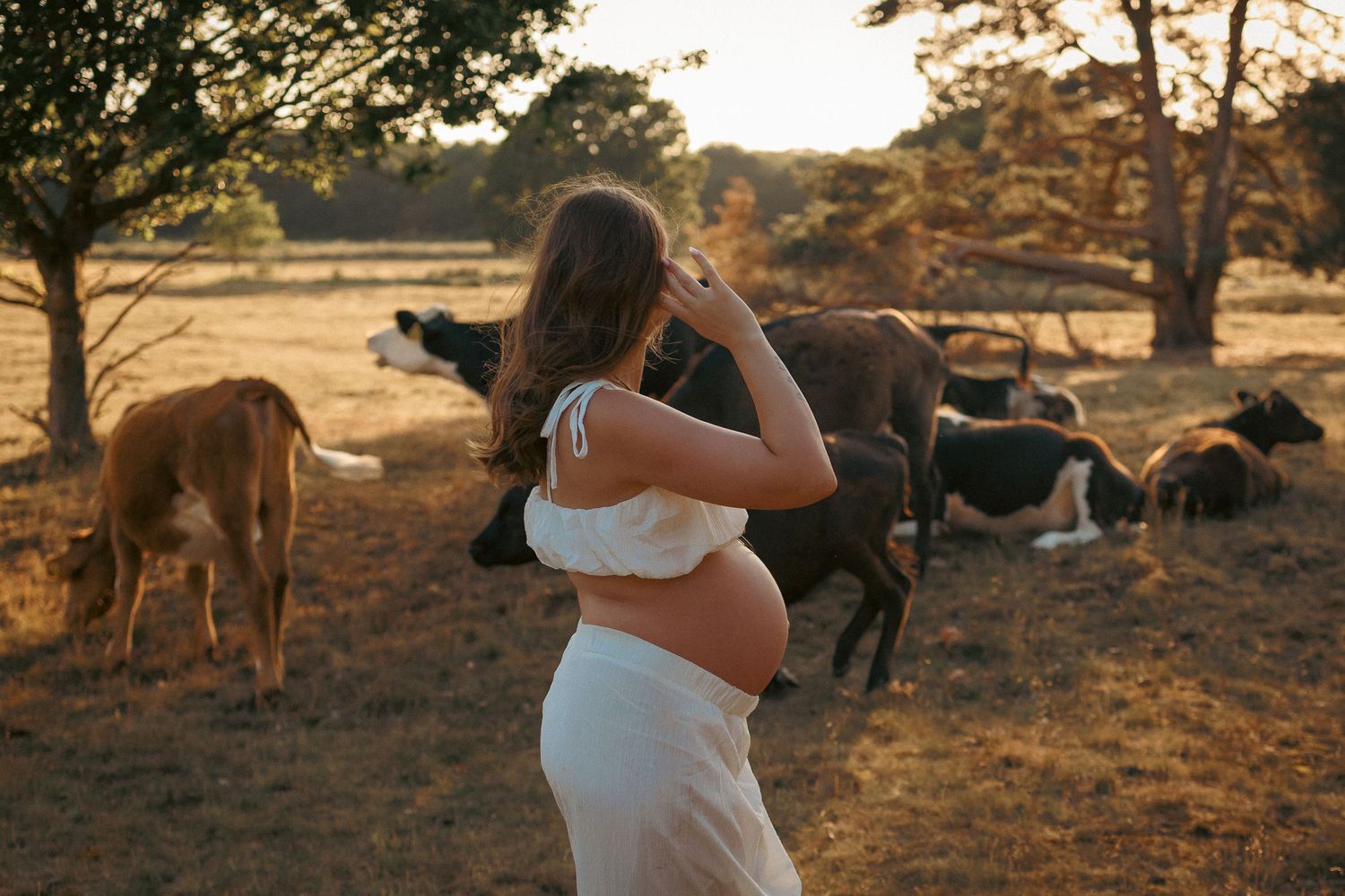 Empowerment Sun drenched portrait of pregnant beautiful woman around cattle in a field by maternity specialist Untamed Muses