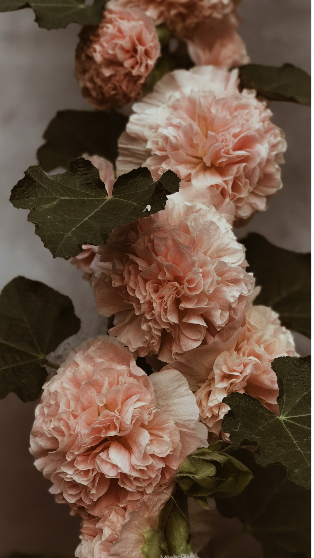 Floral image, rich in texture and warmth