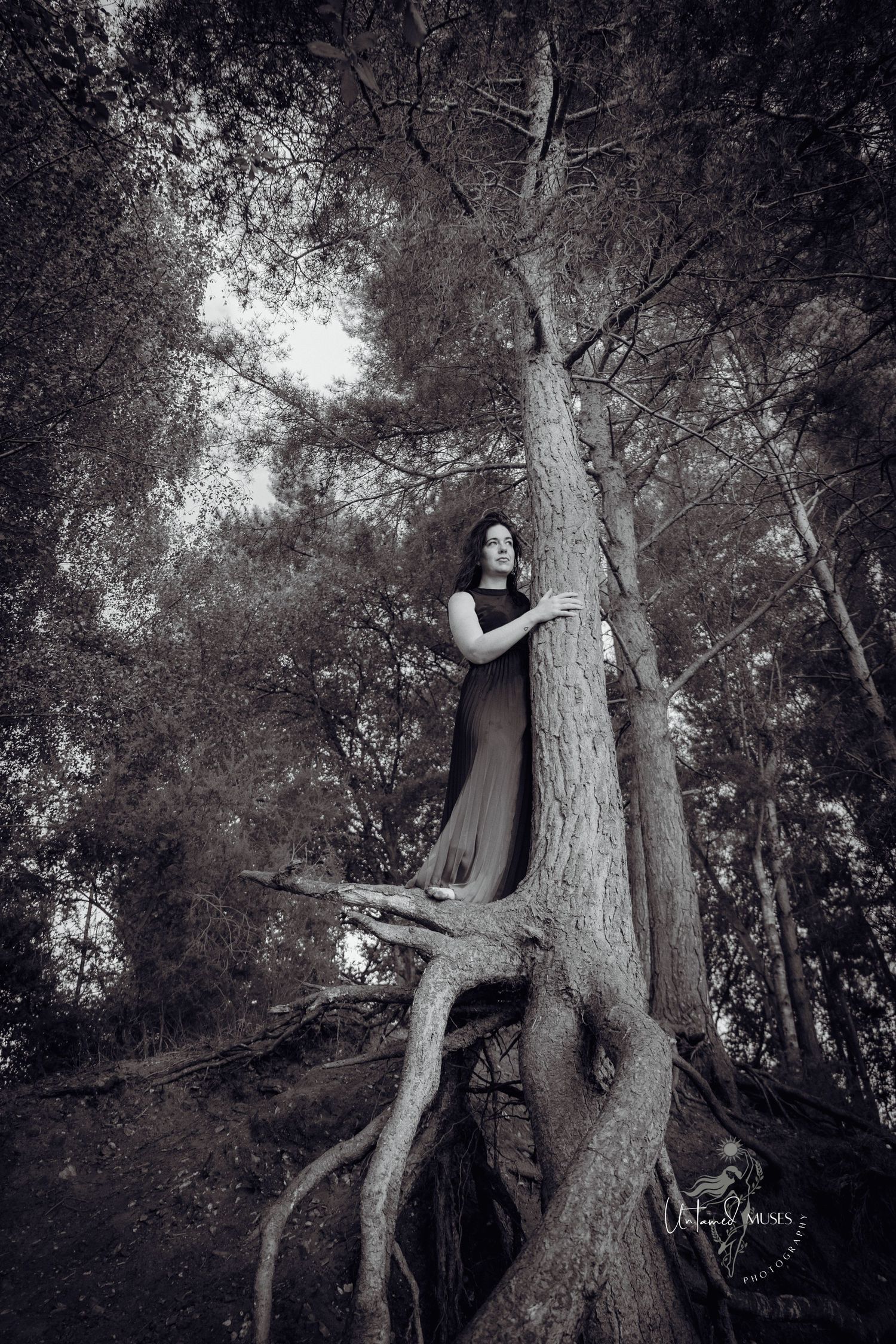 Natural light, empowerment boudoir, wild in nature, divine feminine, woman holding on to tree with reverence, monochrome, large roots