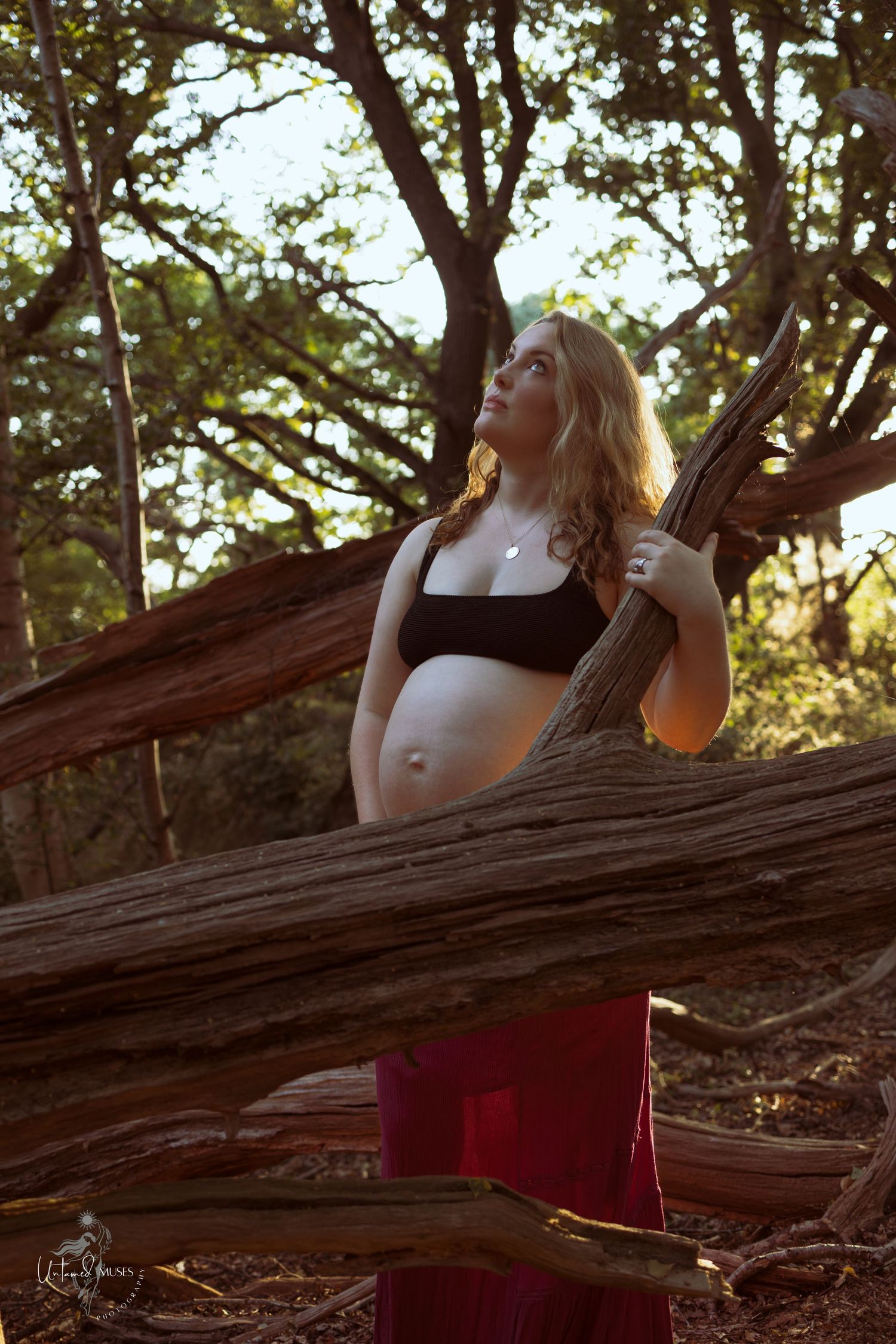 Beautiful low sun evening ,pregnant beauty serene amongst trees , sensual reclamation, empowerment, natural light, Norfolk woodlands