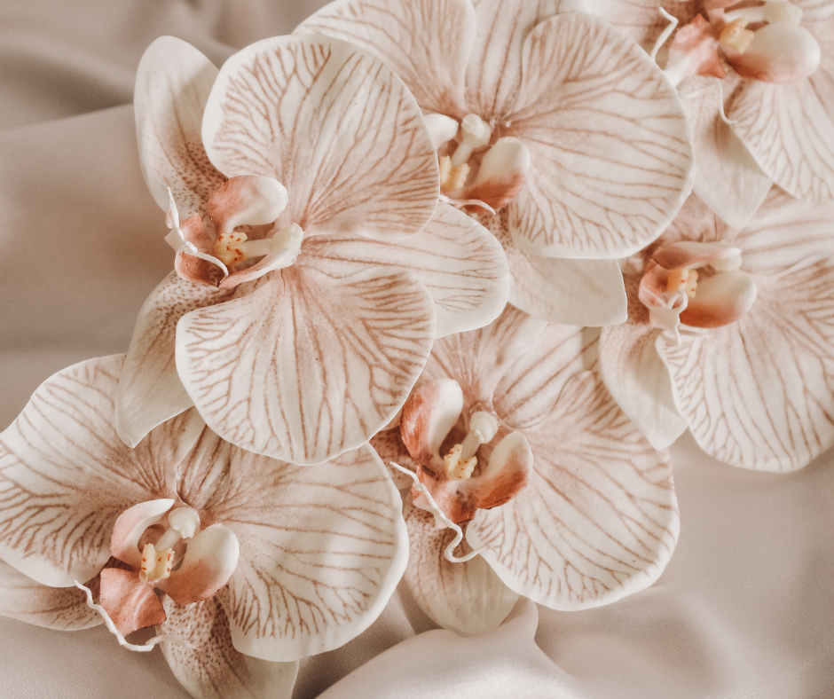 close up detail of orchids