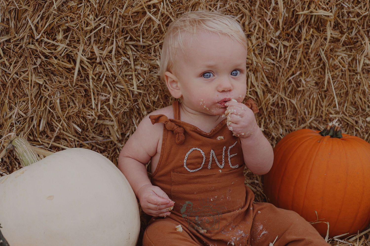 Baby boy eating his first birthday cake with his hands sitting on a hay surrounded by pumpkins