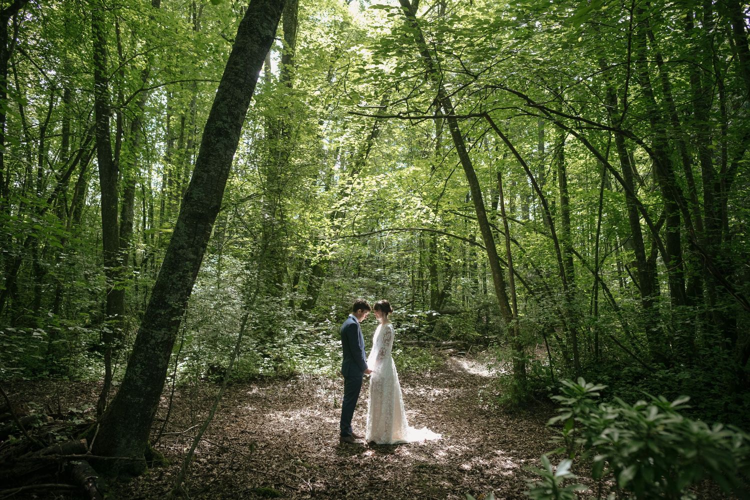Rural New Zealand forest wedding photoshoot with Laura and Charles