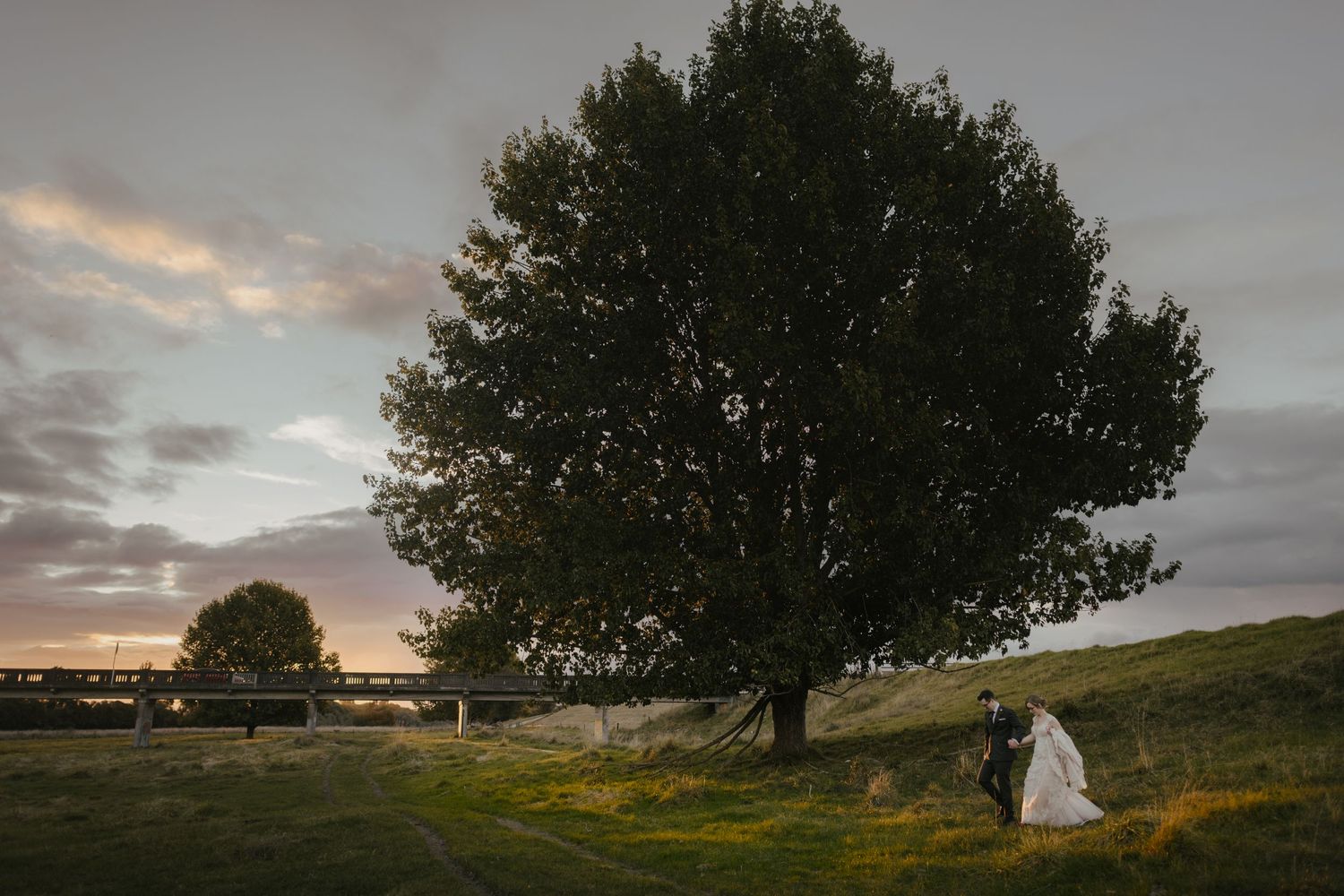 Hawkes Bay wedding photo at sunset