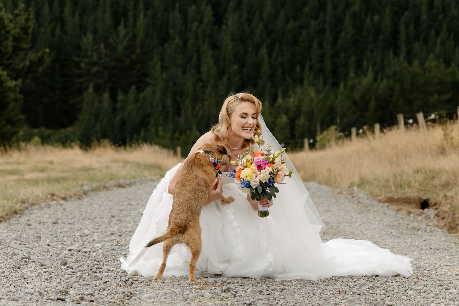 Wedding photo with bride's dog
