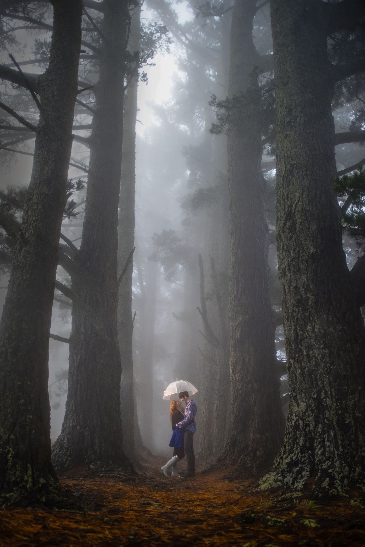 Foggy engagement shoot at the top fo the Port Hills, Christchurch