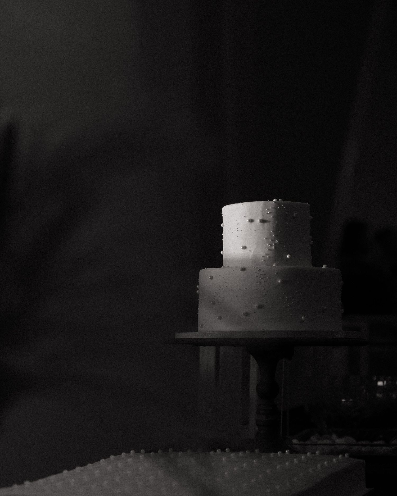 dramatic close up detailed wedding cake black and white