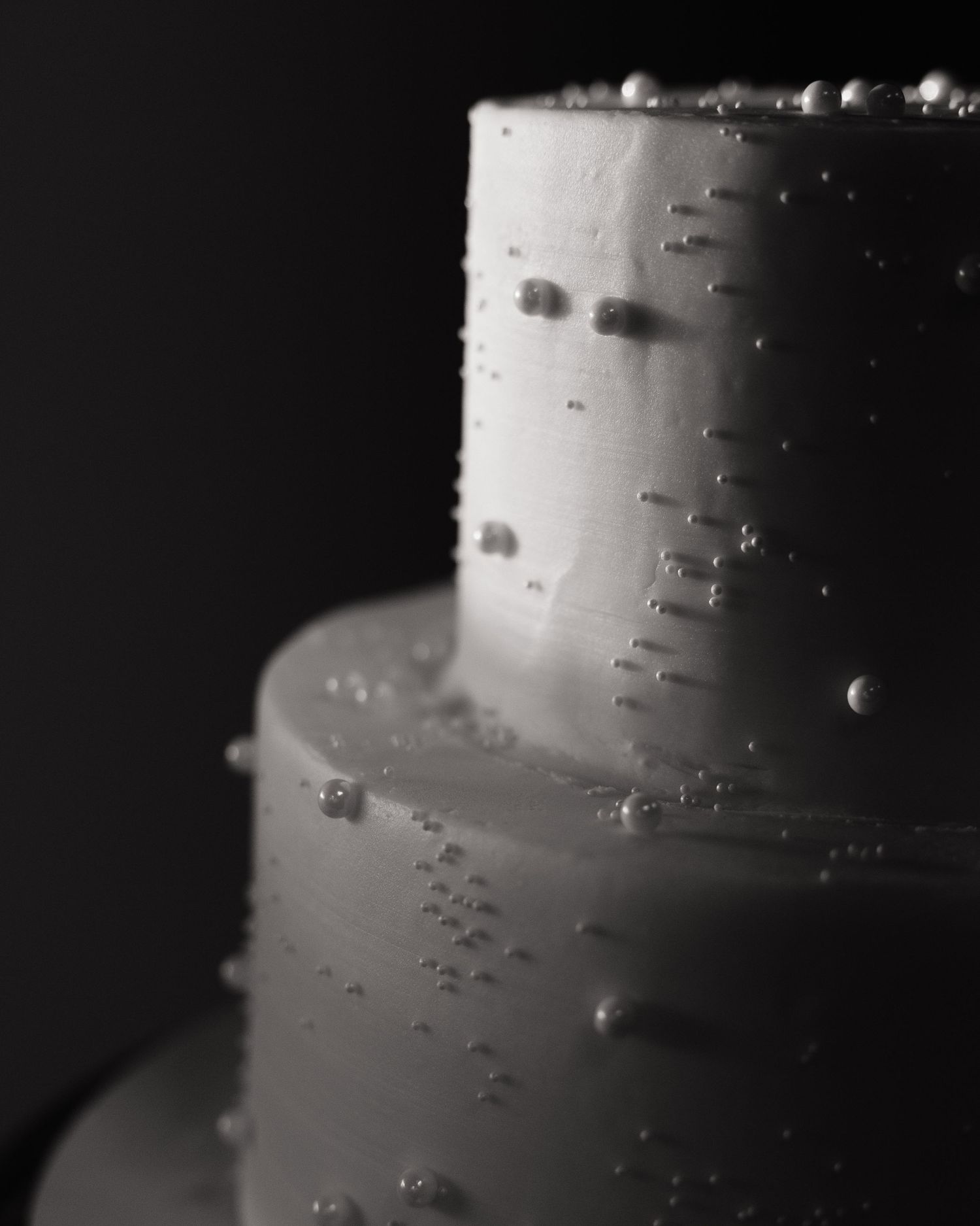 dramatic clear close up detailed wedding cake black and white