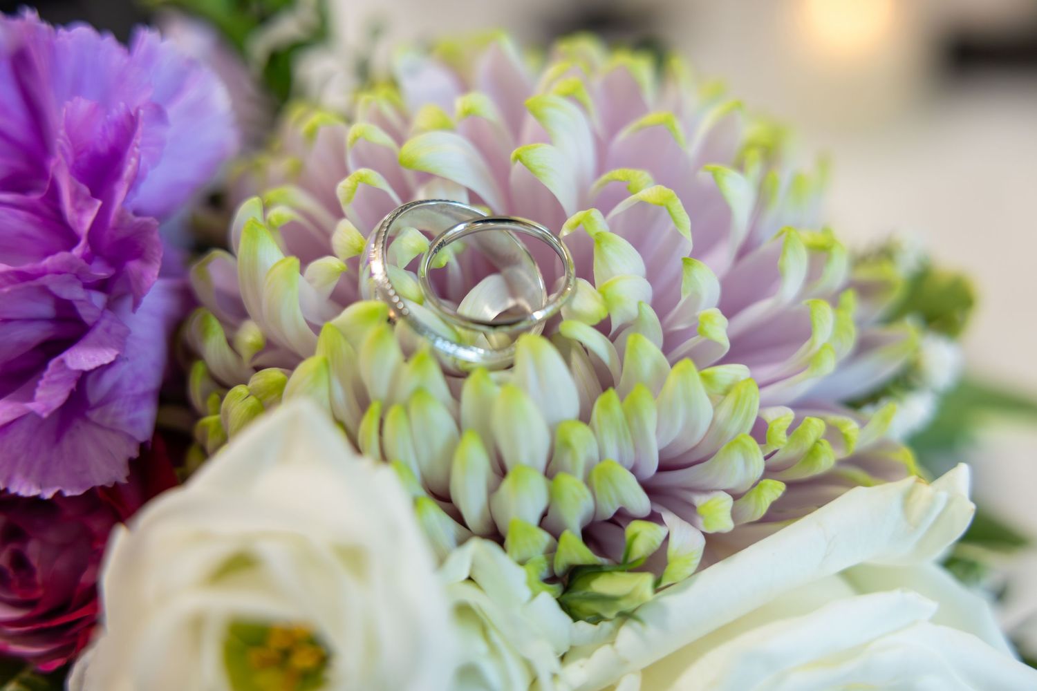 Close-up of purple and green hydrangea flowers with delicate petals.