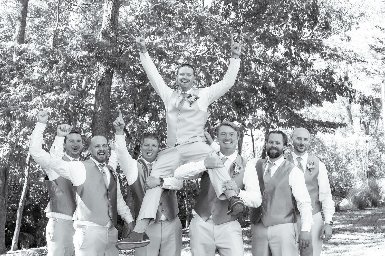 A joyful wedding party celebrates outdoors with groomsmen lifting someone in gray vest and white shirt in the air.