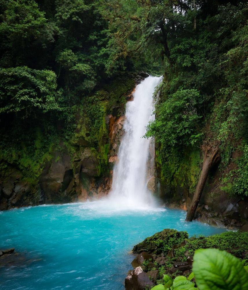 Nature