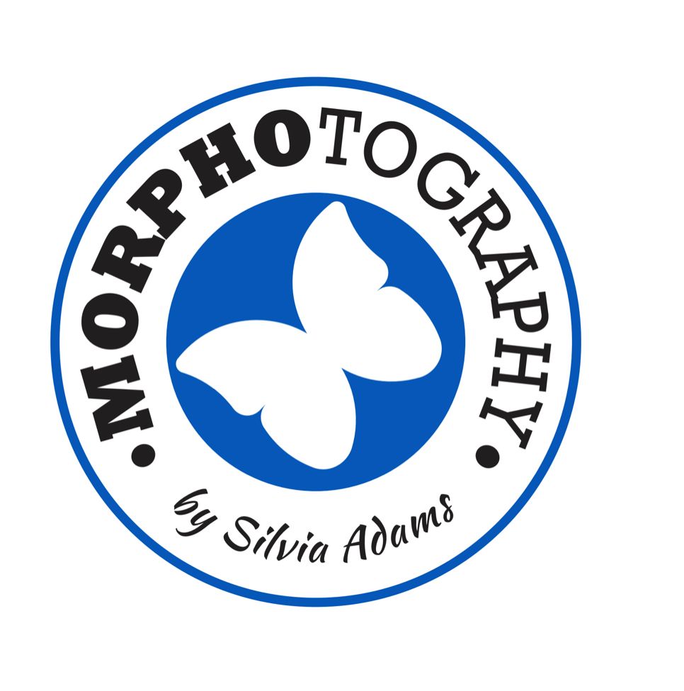 Morphotography LLC