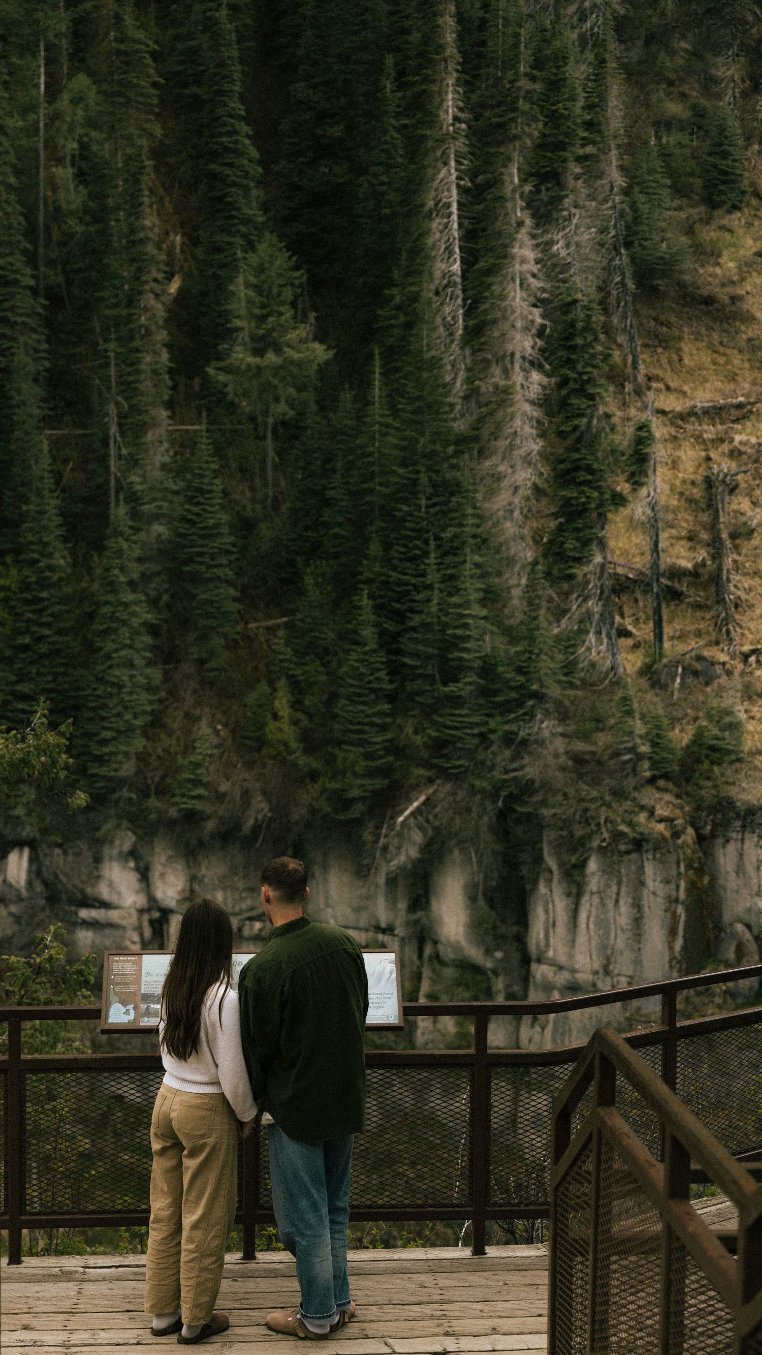 a cinematic filmy photo of a couple looking at a national park map amongst pine trees and overlooking a waterfall