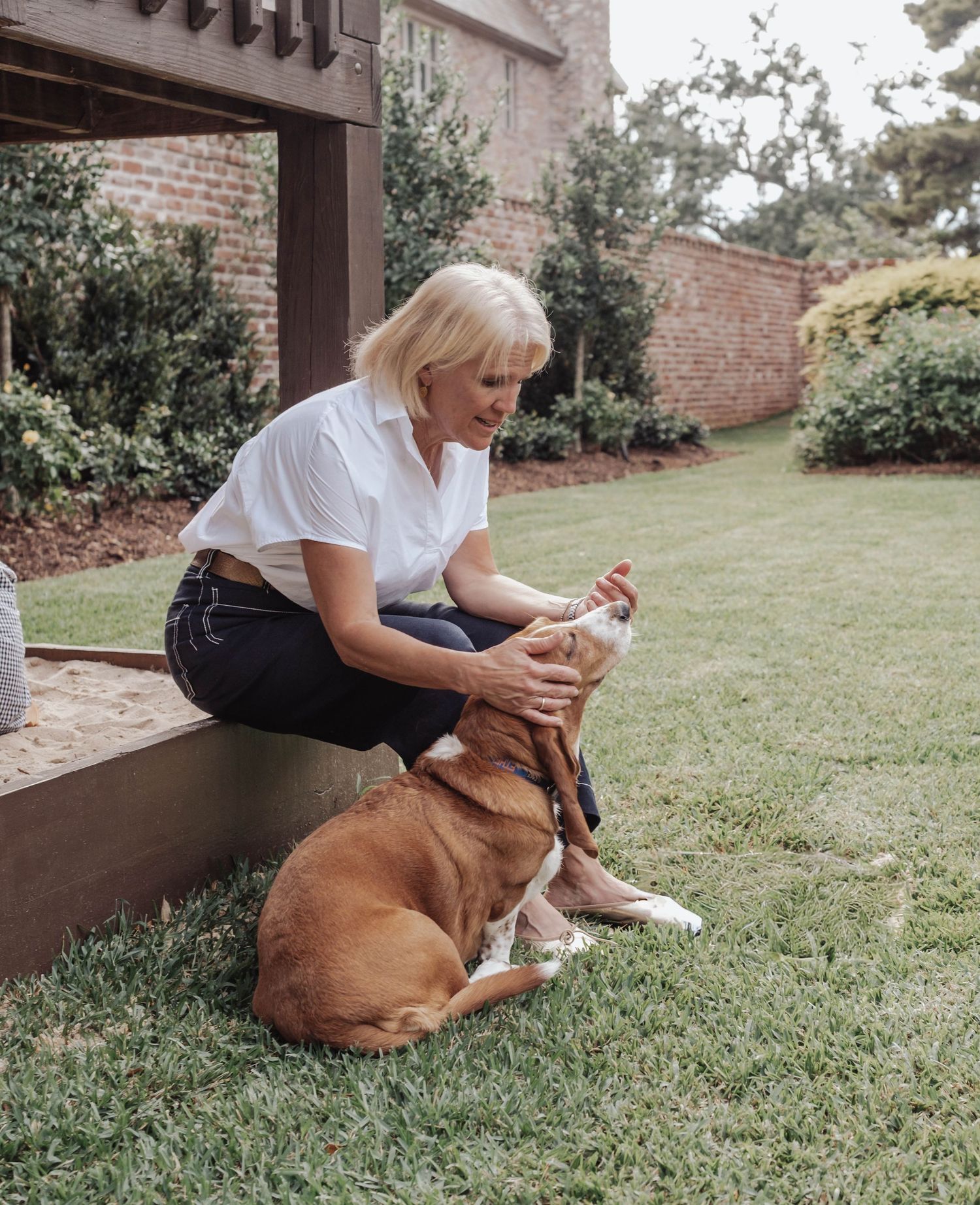 A person in a white shirt sits on a brick porch step while petting a brown and white pitbull dog on a lawn.