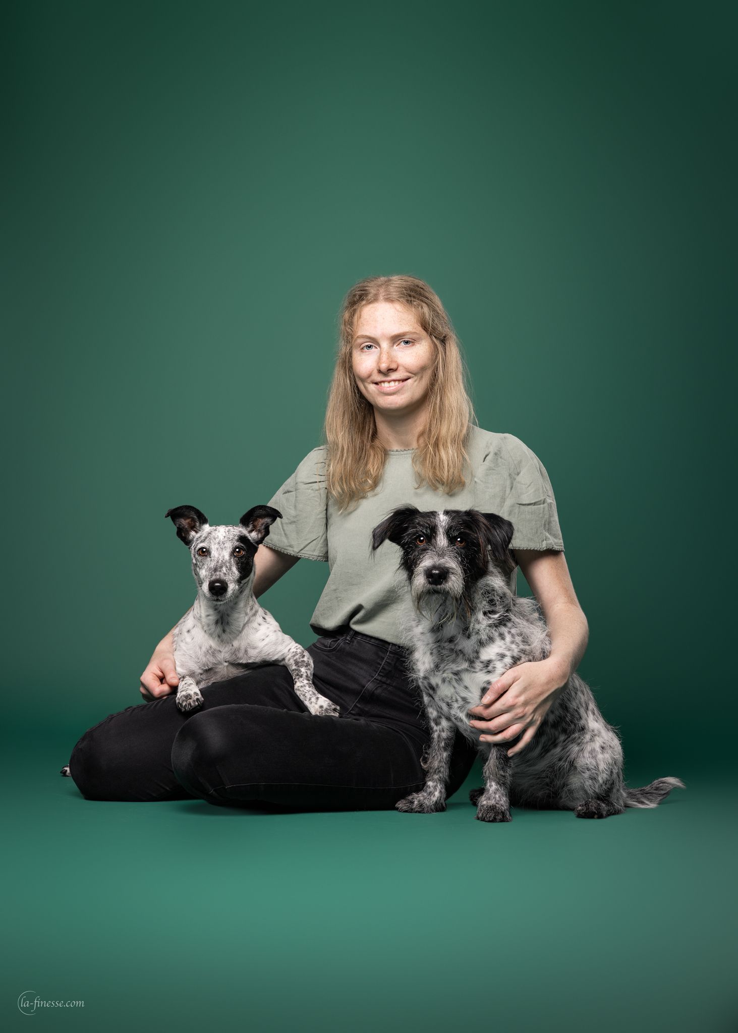 honden in studio